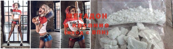 дмт Богданович