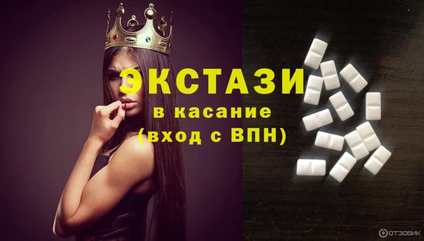 дмт Богданович