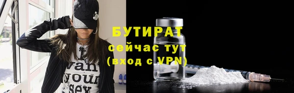 дмт Богданович
