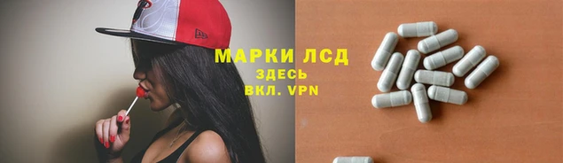 дмт Богданович