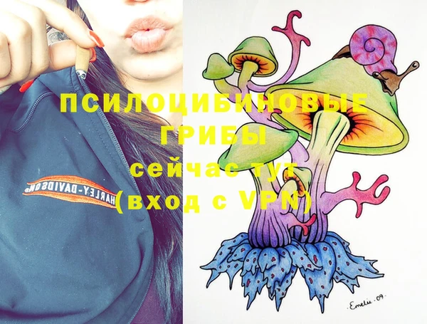 дмт Богданович