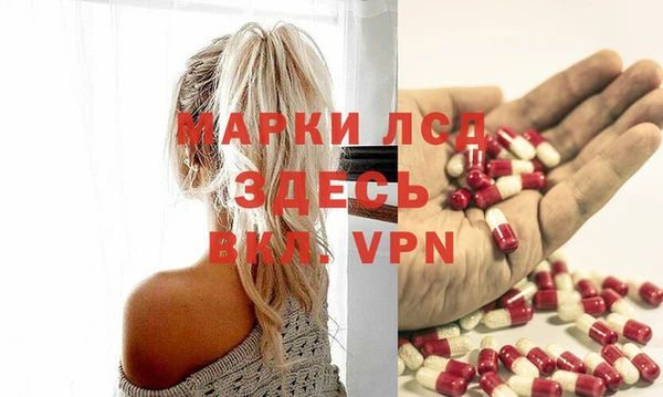 дмт Богданович
