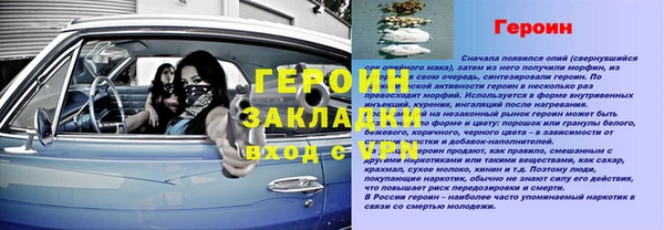 дмт Богданович