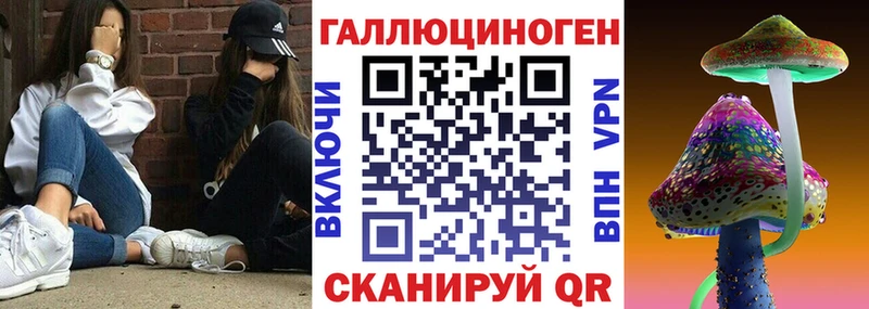 Галлюциногенные грибы Psilocybe  Купить где  Лихославль 